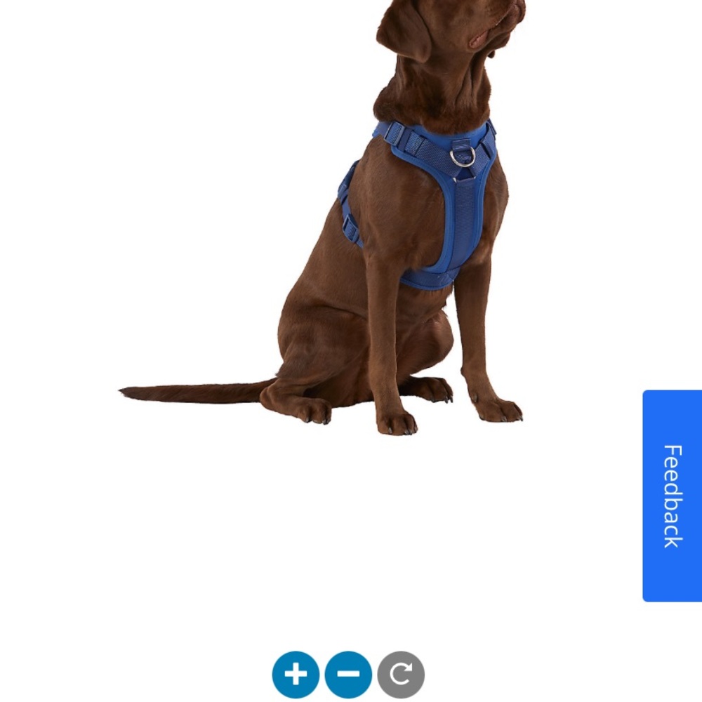Adjustable dog harness - Picture 2 of 9